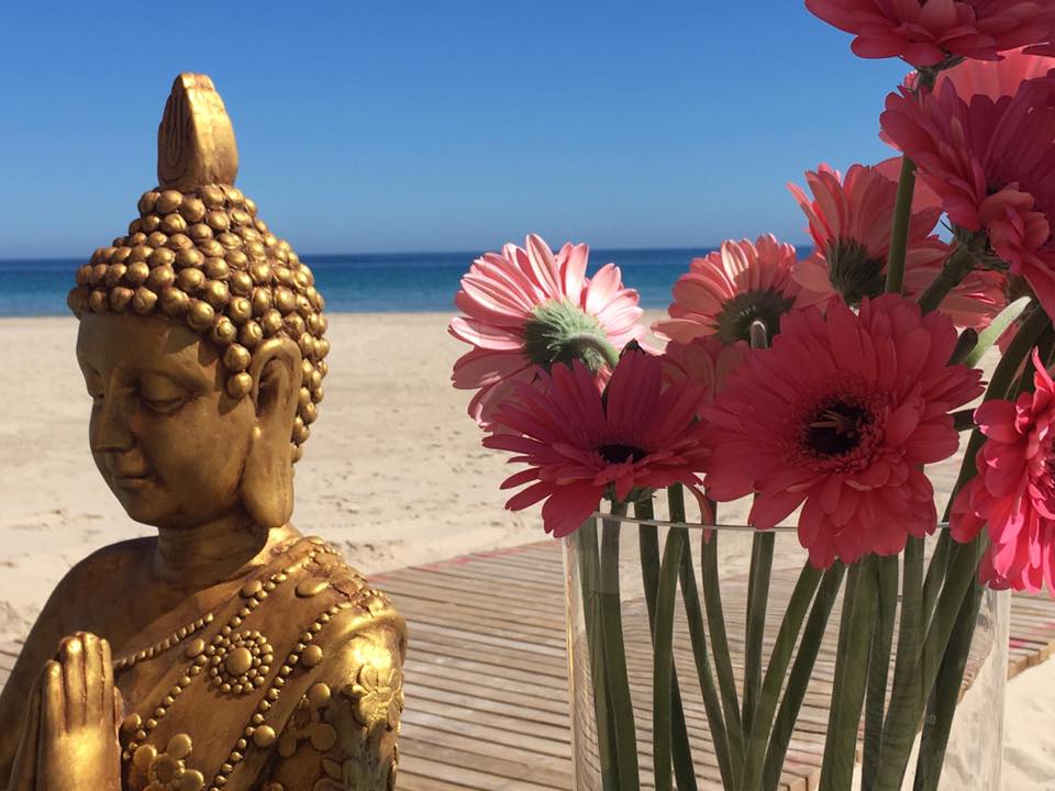 en hibernis mare tus fotos tienen premio