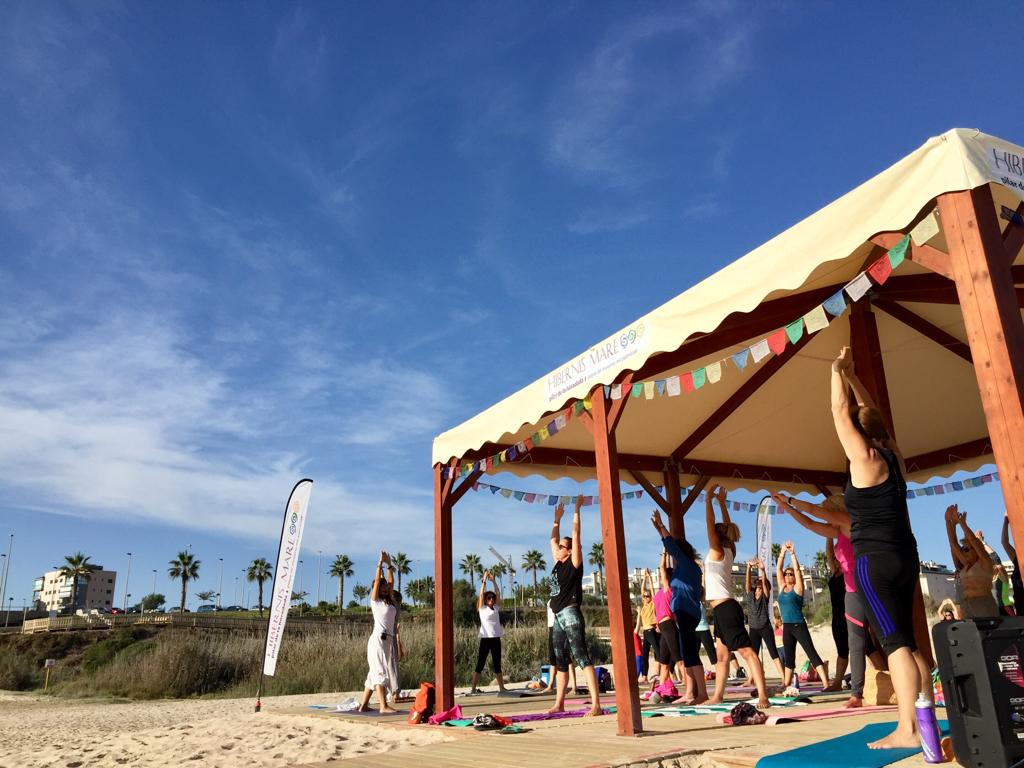 Mens sana in corpore sano hibernis mare