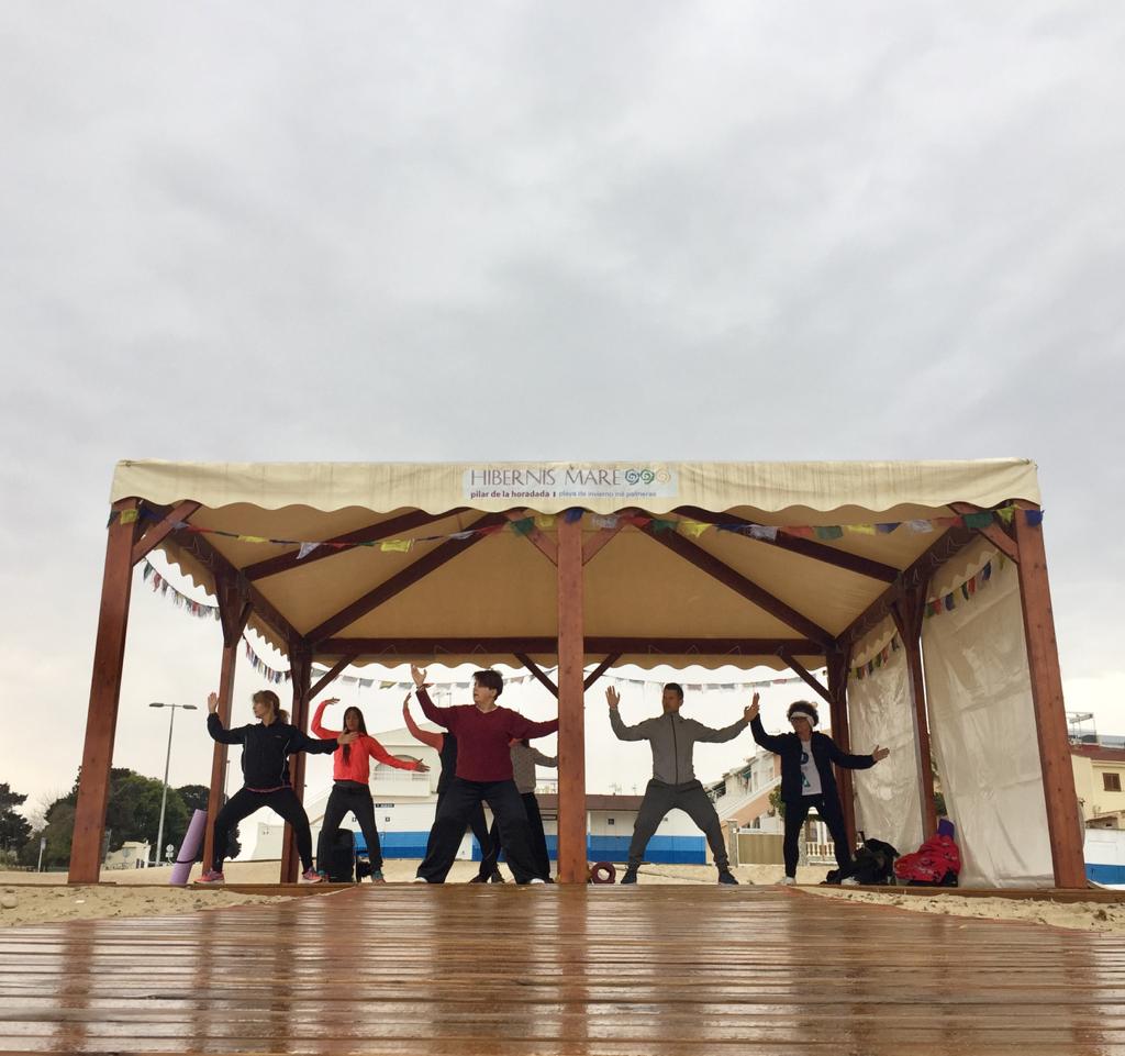 chi kung corazón del tao hibernis mare mil palmeras pilar de la horadada