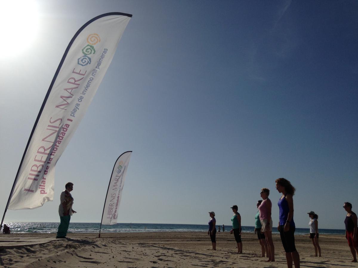 chi kung corazón del tao hibernis mare mil palmeras pilar de la horadada