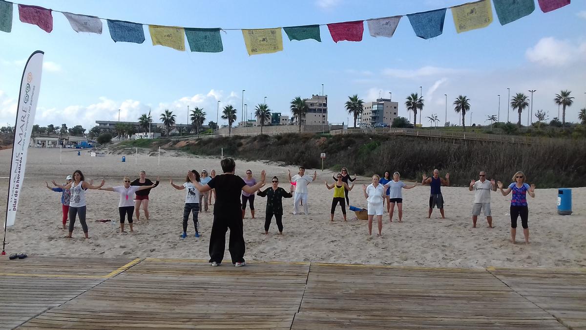 chi kung corazón del tao hibernis mare mil palmeras pilar de la horadada