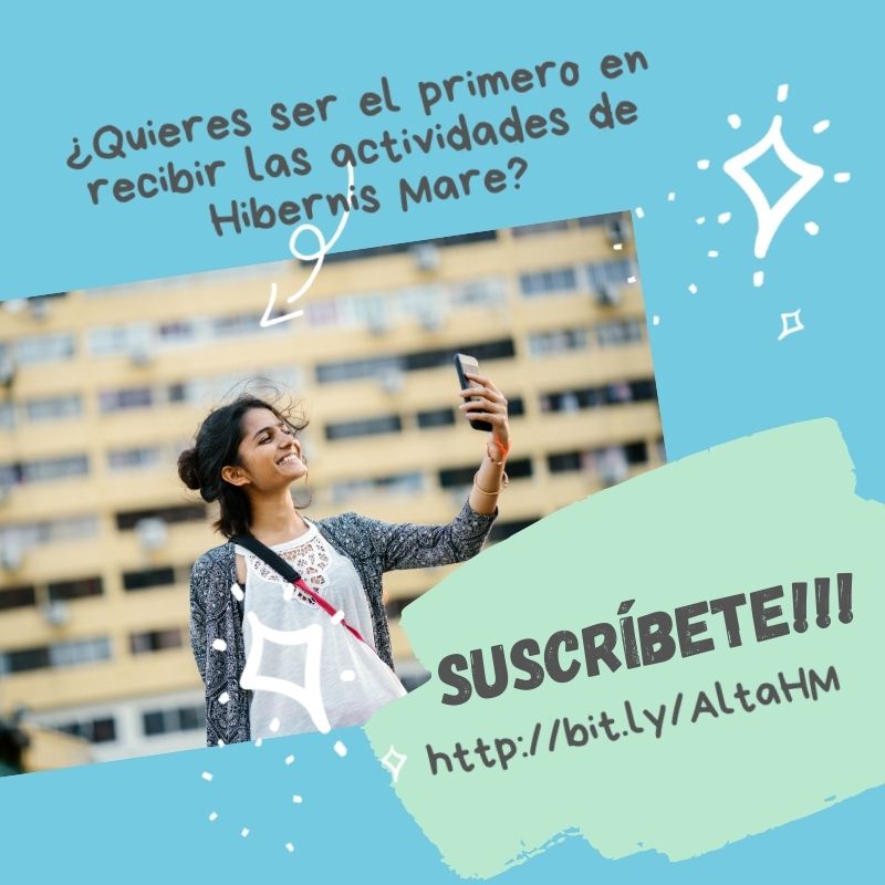 newsletter hibernis mare playa de invierno mil palmeras pilar de la horadada 