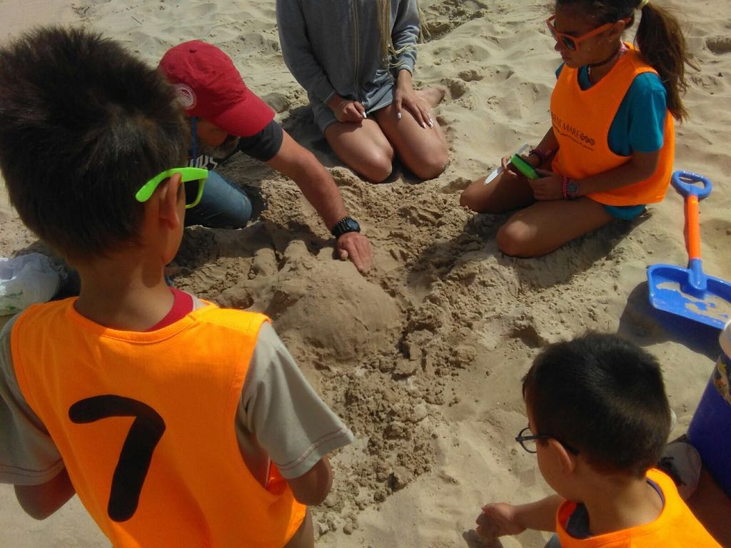 infantil hibernis mare pilar de la horadada alicante mil palmeras