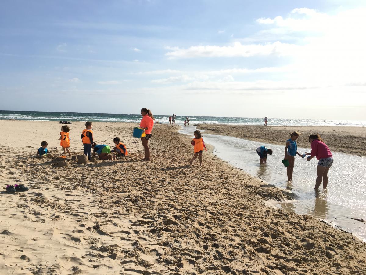infantil hibernis mare pilar de la horadada alicante mil palmeras