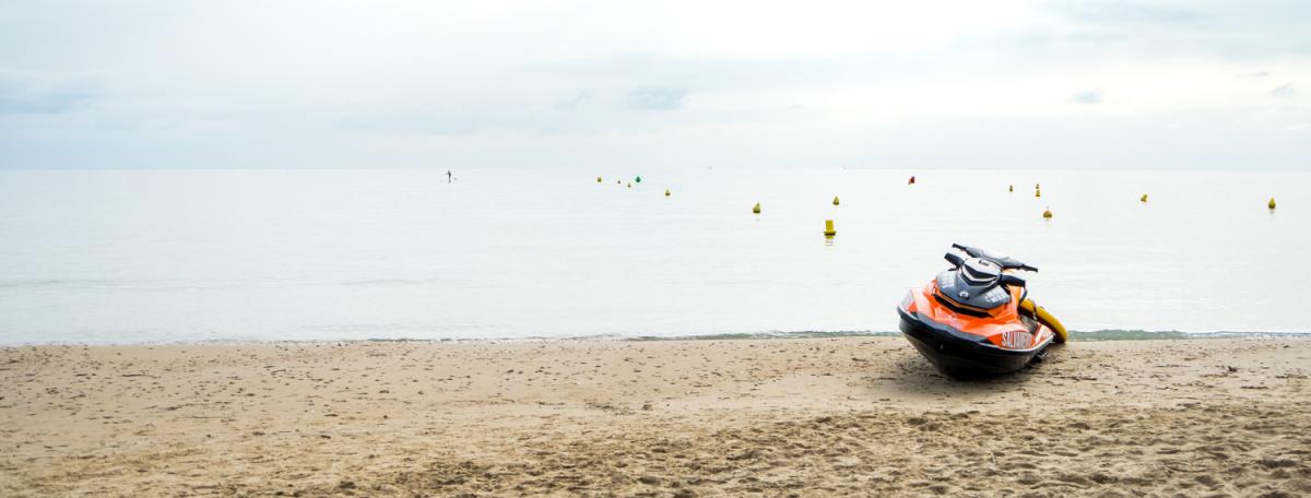 Mens sana in corpore sano hibernis mare