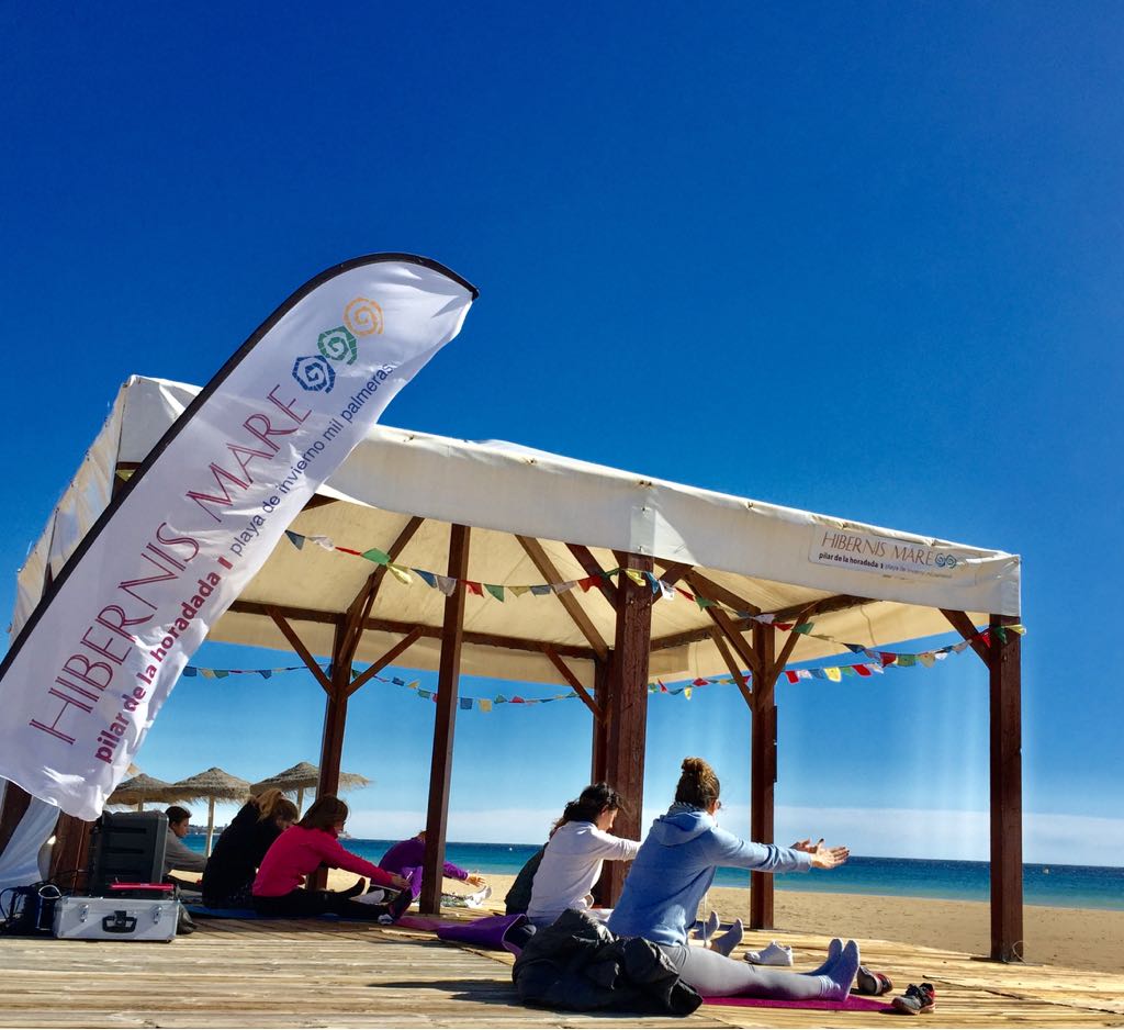 Recharge Hibernis Mare Mil Palmeras Playa de invierno