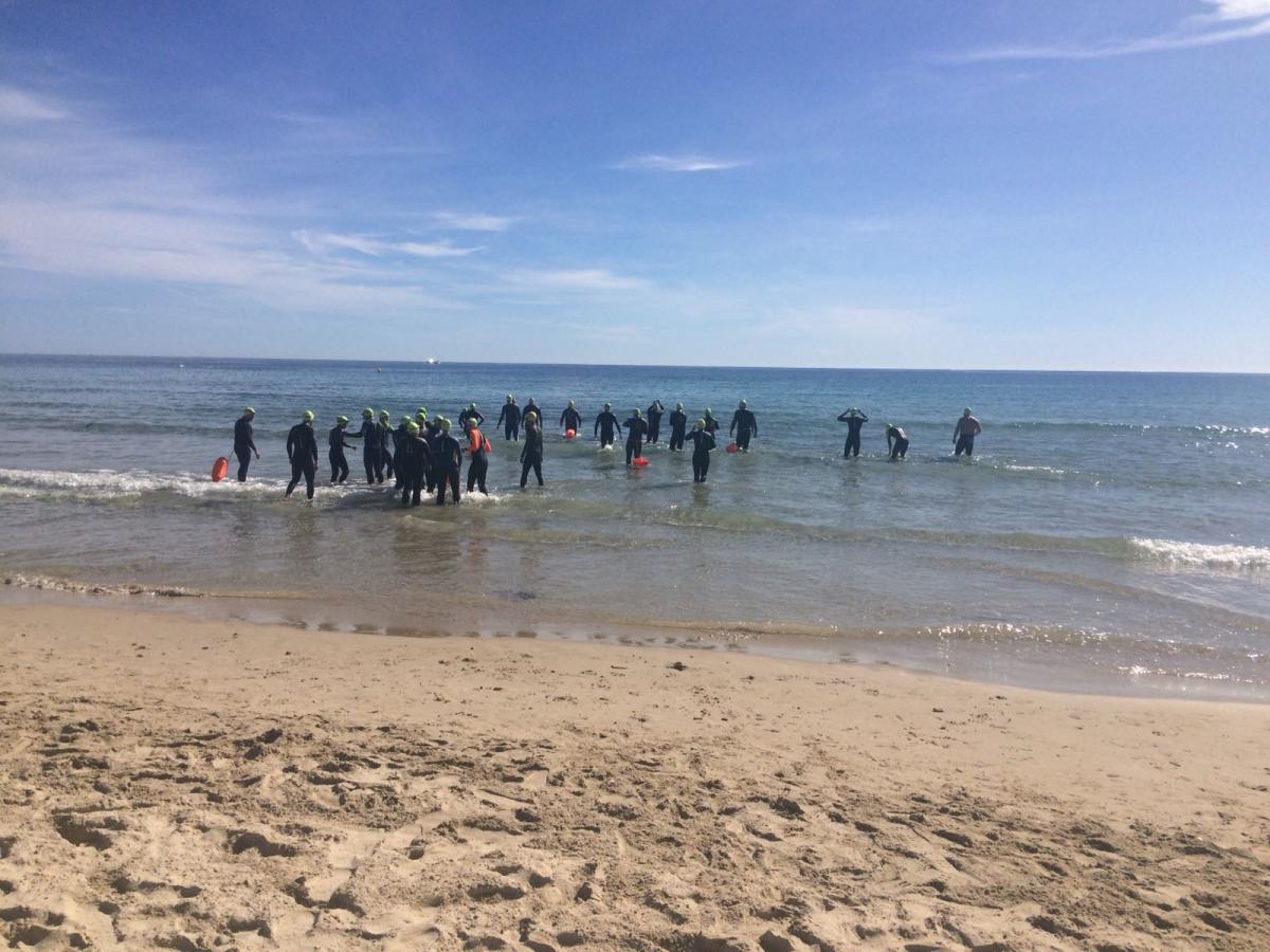 swimmers meeting point hibernis mare mil palmeras pilar de la horadad
