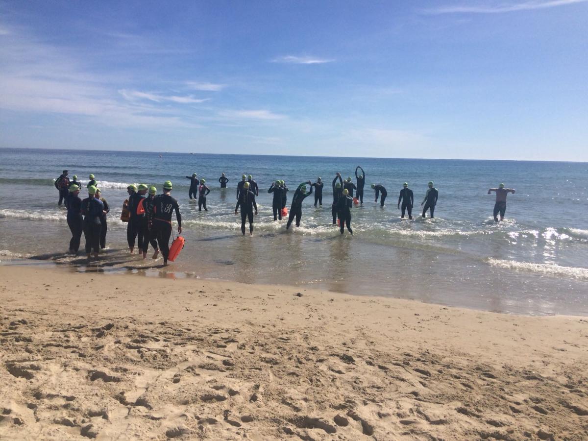 swimmers meeting point hibernis mare mil palmeras pilar de la horadad