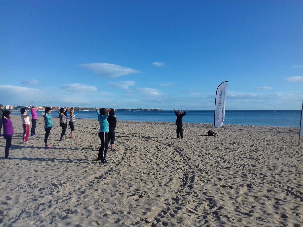 tai chi chuan hibernis mare mil palmeras pilar de la horadada playa de invierno