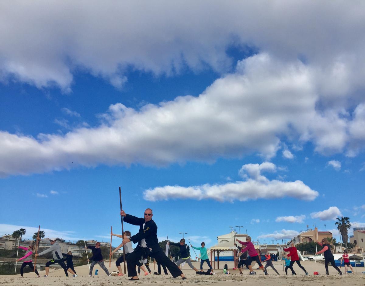 tai chi kung hibernis mare mil palmeras alicante