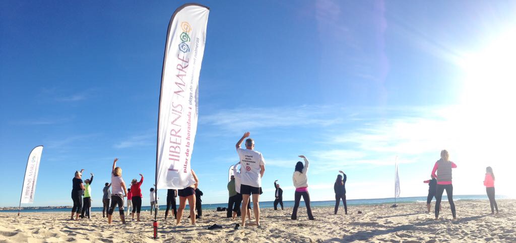 tai chi kung hibernis mare mil palmeras alicante