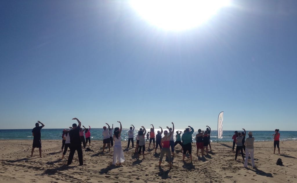 tai chi kung hibernis mare mil palmeras alicante