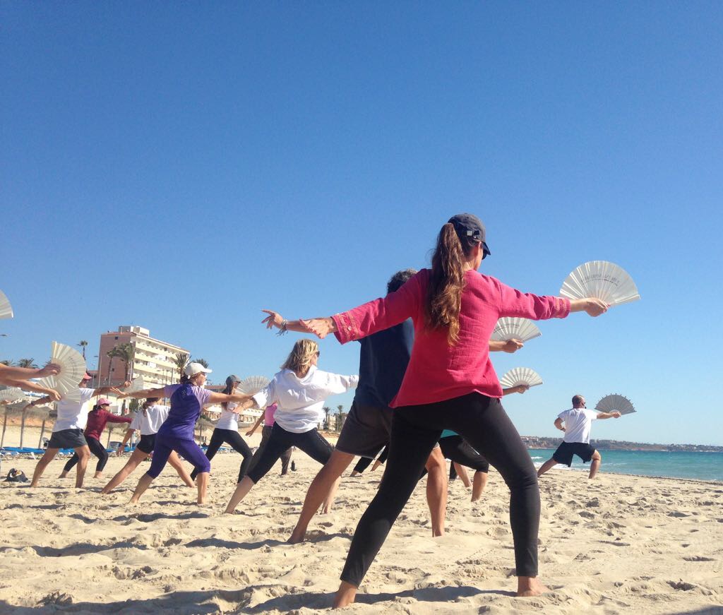 tai chi kung hibernis mare mil palmeras alicante