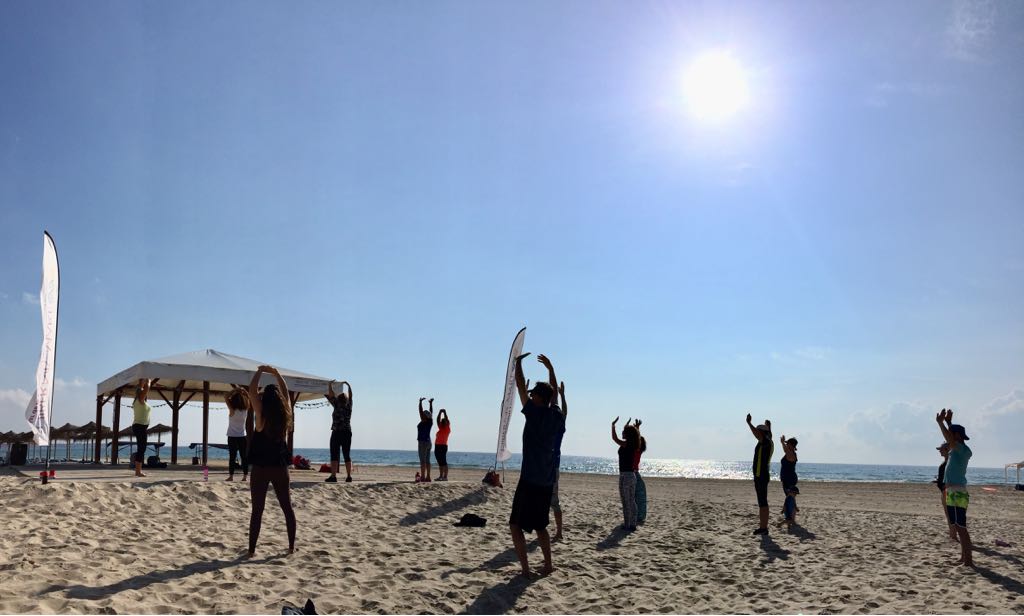 taichi corazón del tao hibernis mare mil palmeras alicante