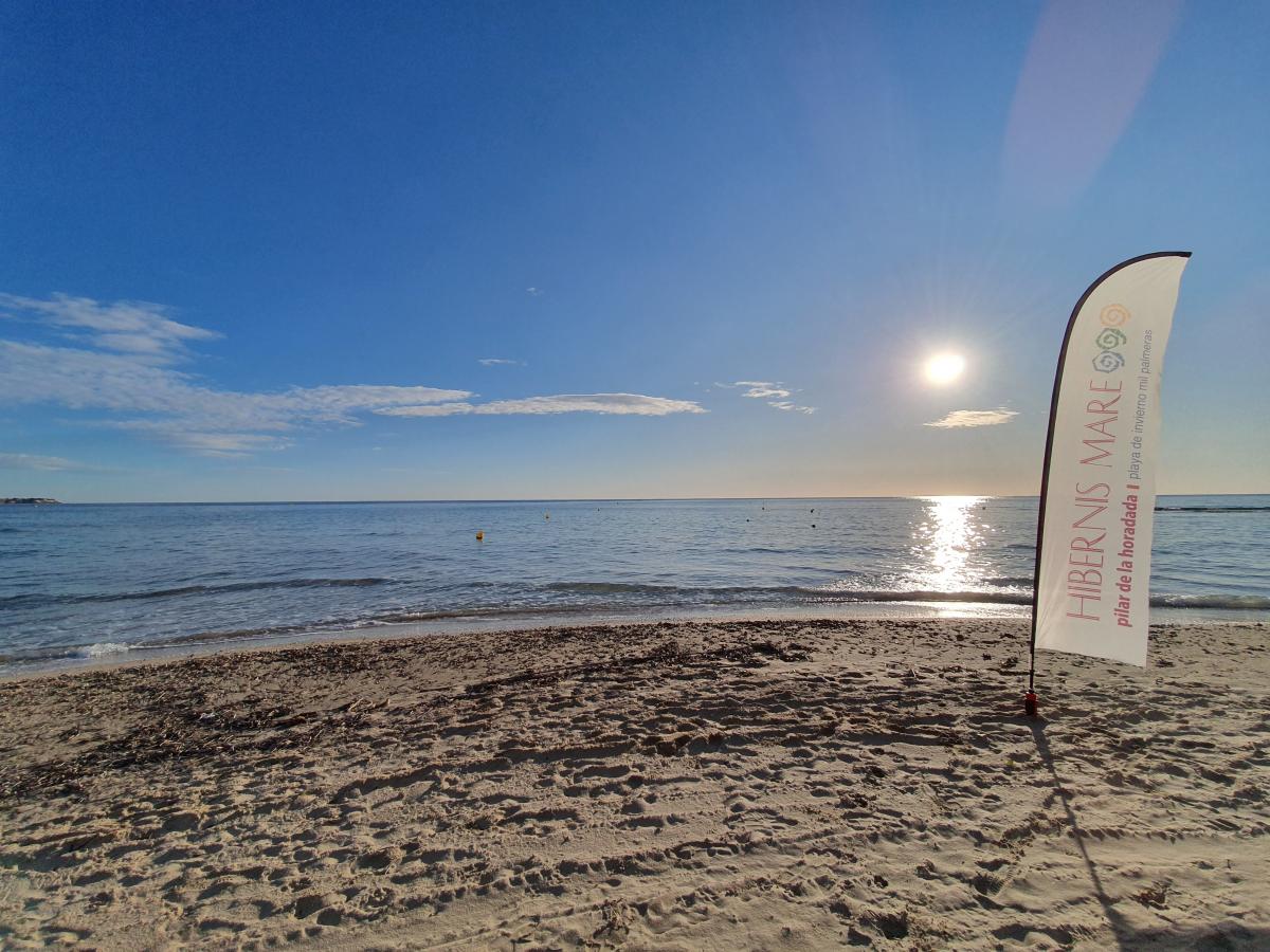 actividades semanales hibernis mare mil palmeras pilar de la horadada playa de invierno