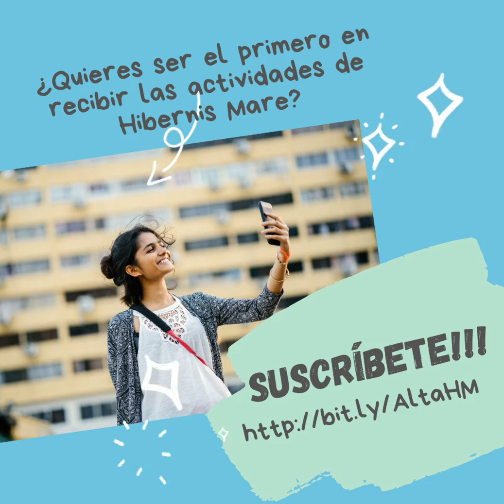 newsletter hibernis mare playa de invierno mil palmeras pilar de la horadada 