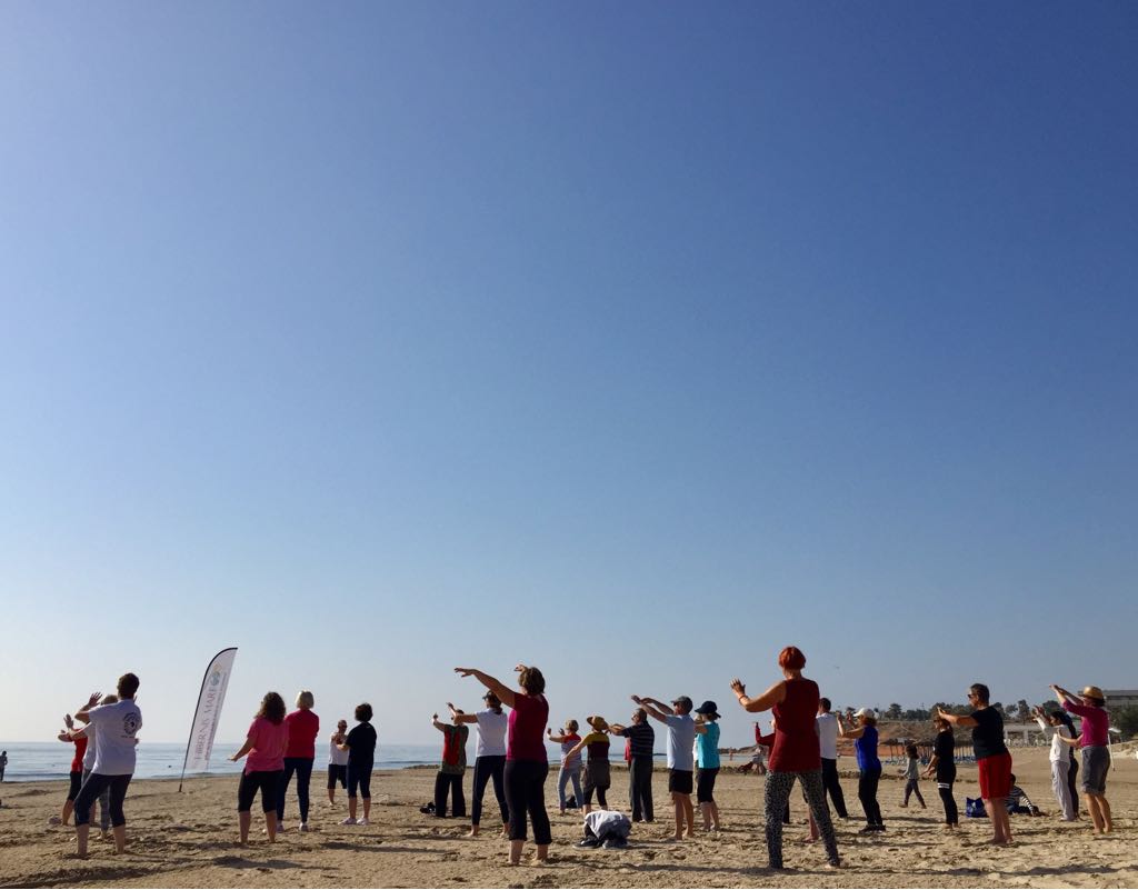 taichi chuan hibernis mare mil palmeras alicante